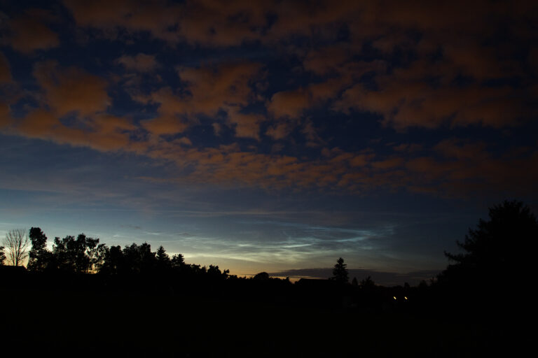 NLC